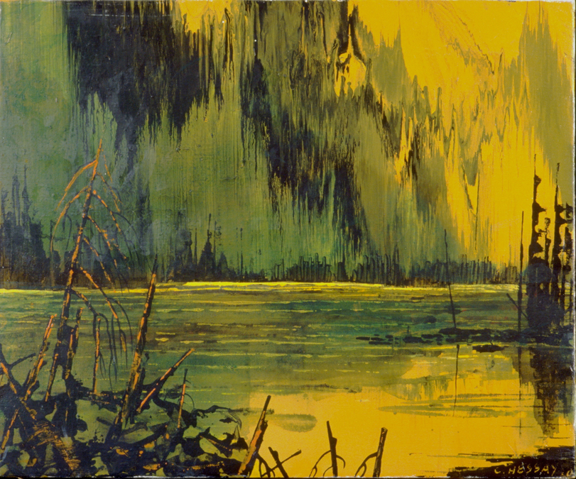 Carle Hessay Rain Forest